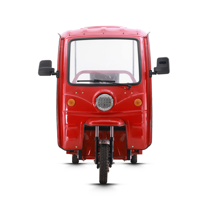 adult tricycle trike