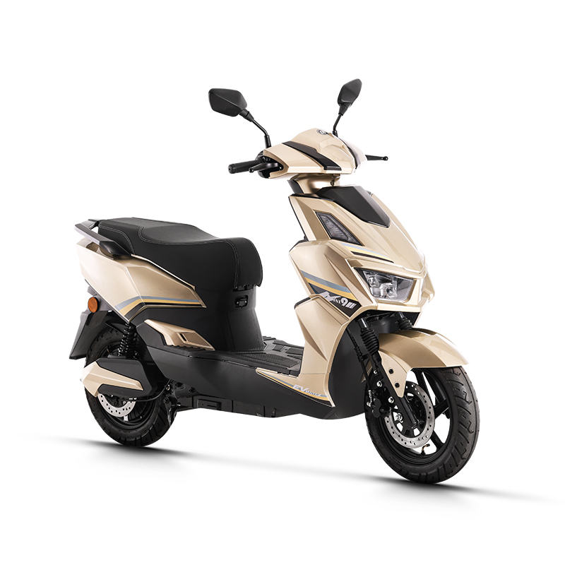 mountain electric bike