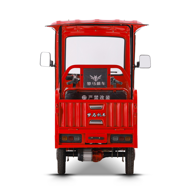 adult tricycle trike