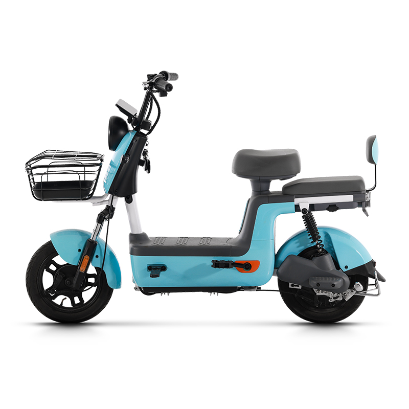 electric mountain bike