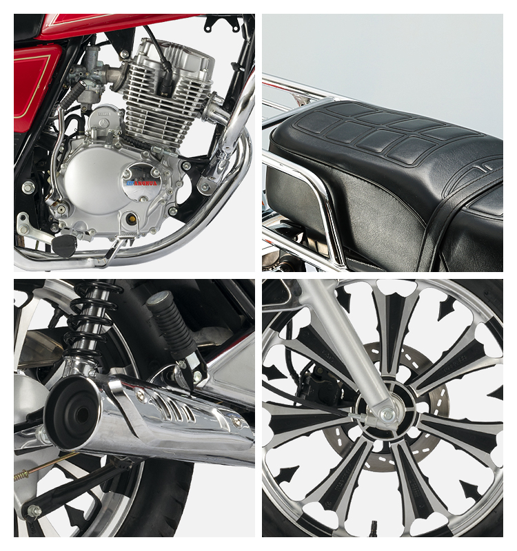 custom motorcycle license plate