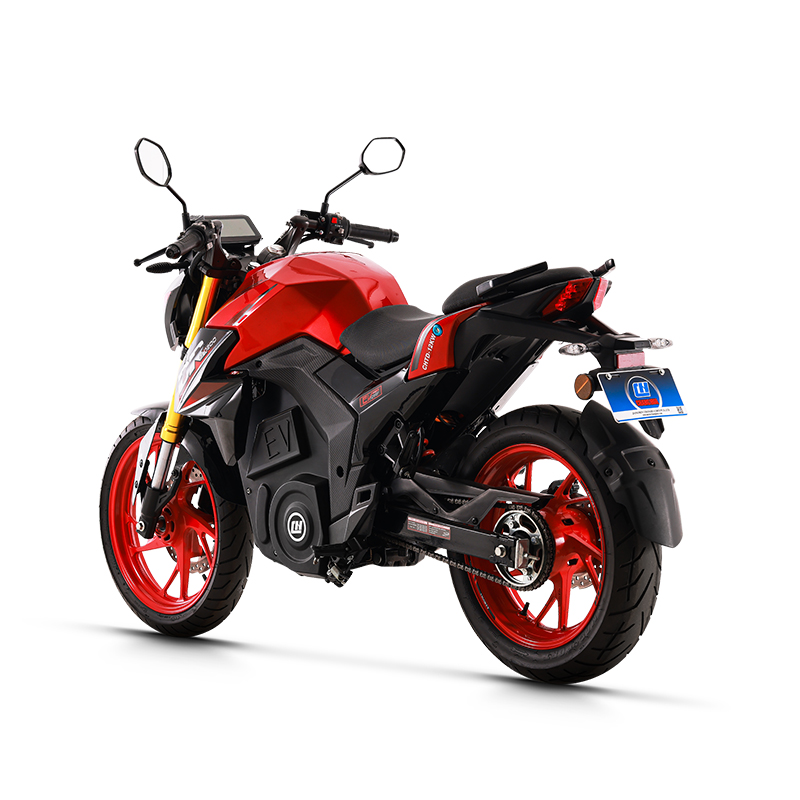 electric bike trekking