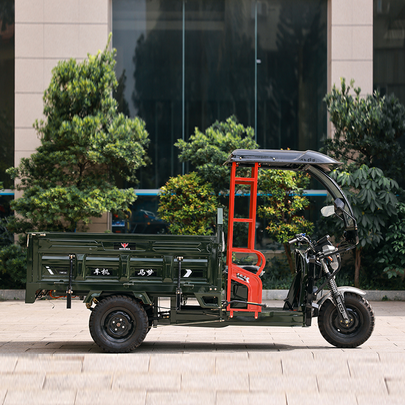 electric recumbent tricycle