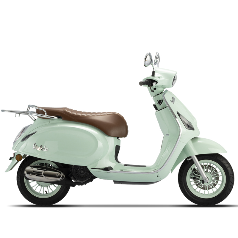 moped electric scooter