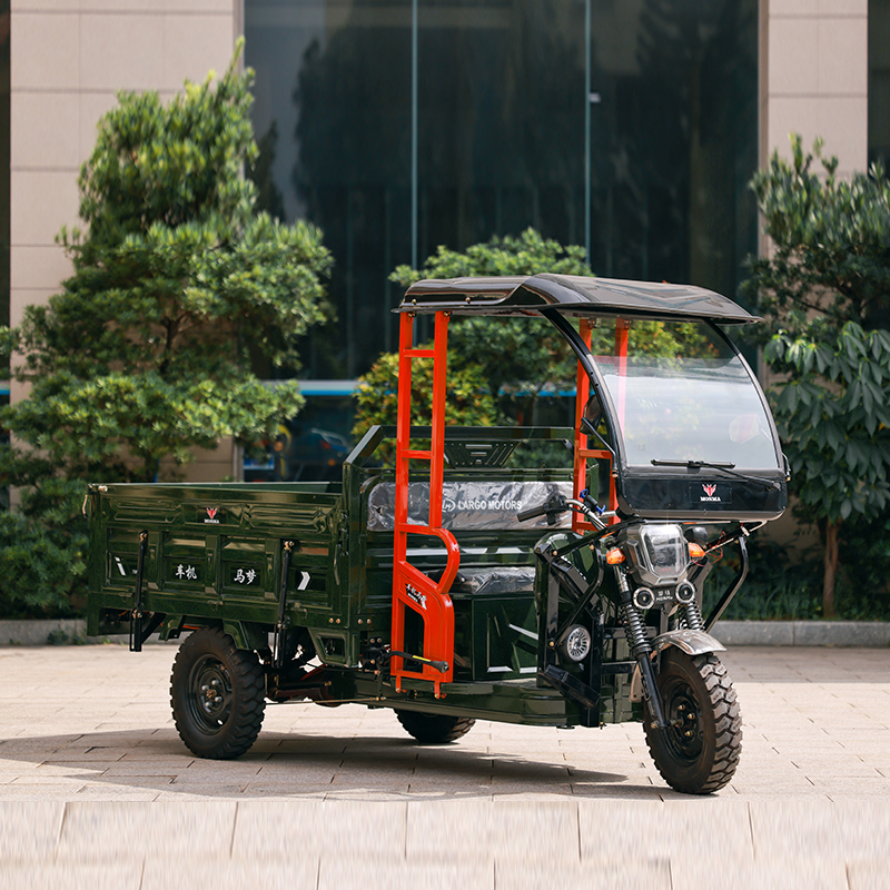 best electric tricycle for adults