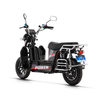 long range electric bike
