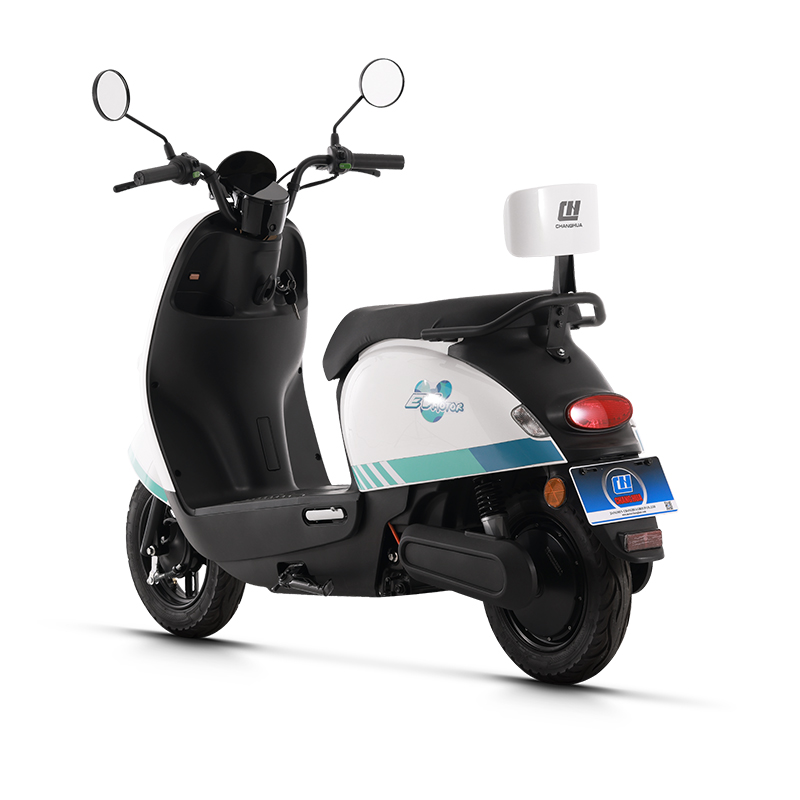 electric bike trekking