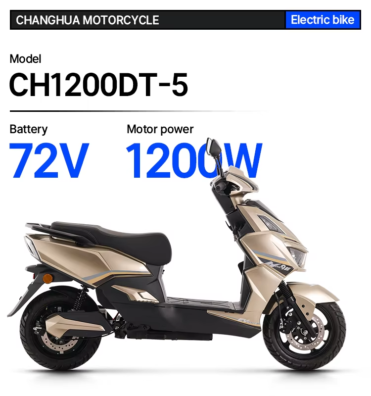 electric mini bike for adults