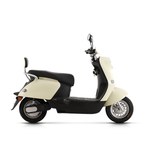 Electric Motorcycle 800W Adult Long Range 2 Wheels Electric
