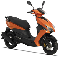 skate scooter adults