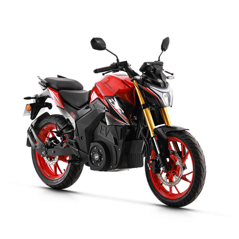 electric dirt bikes for adults