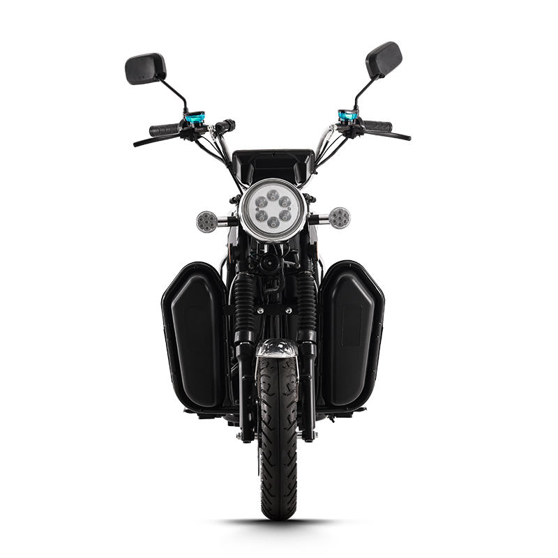 long range electric bike