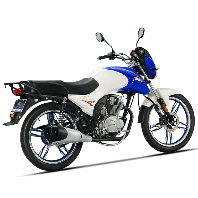 hitch motorcycle carrier