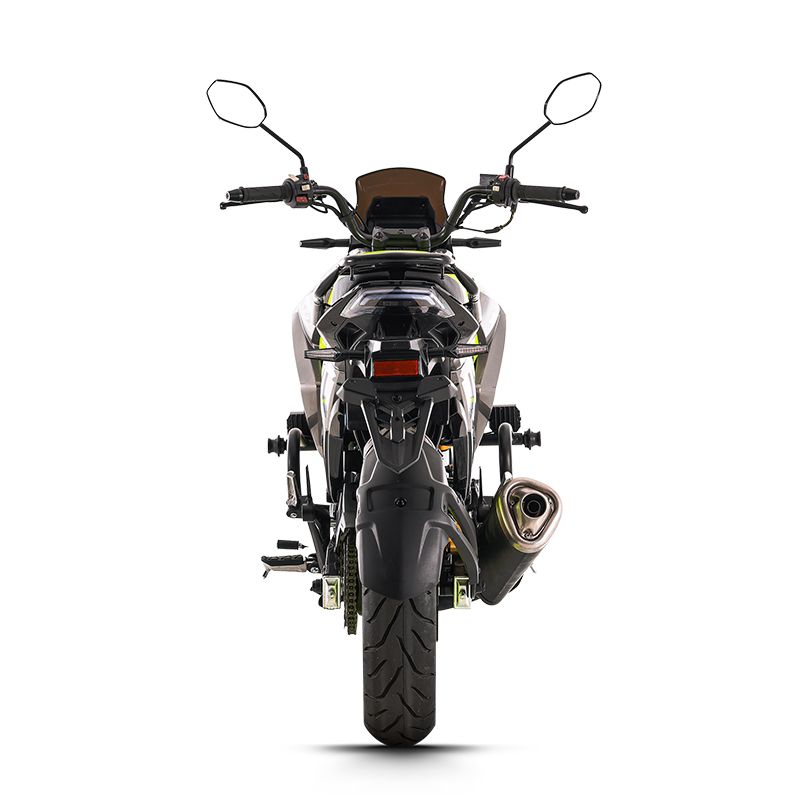 motorcycle sissy bar