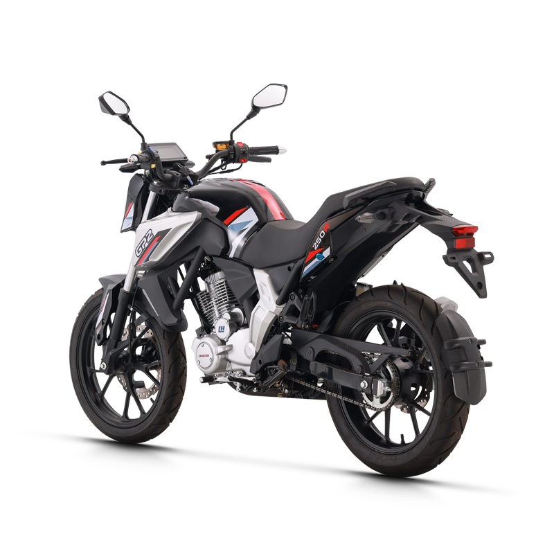 custom motorcycle license plate