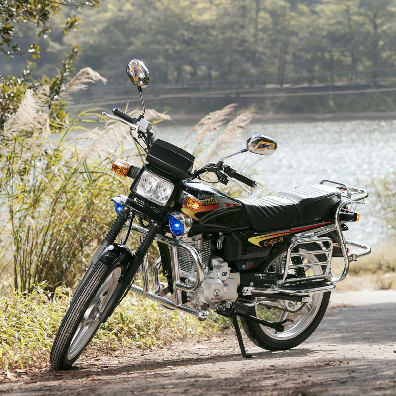 custom motorcycle license plate