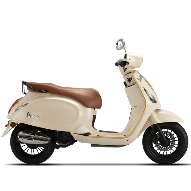 electric mobility scooter