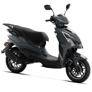 elictric scooter