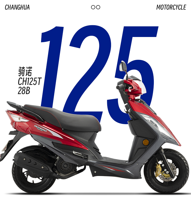 electric scooter accessories