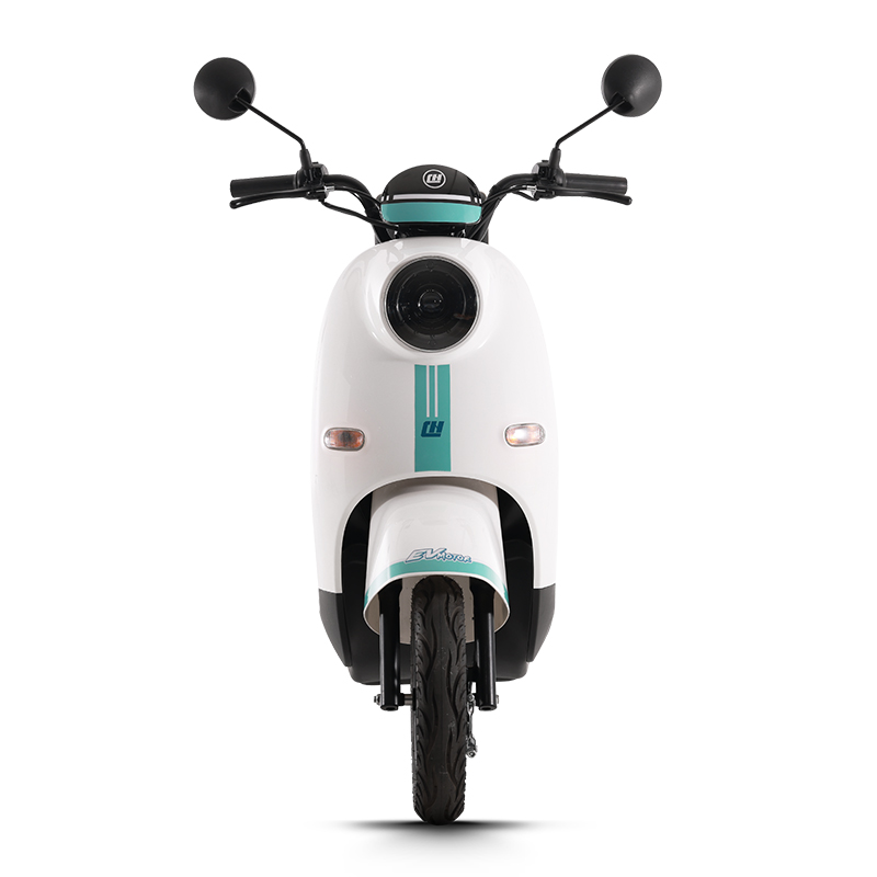 electric bike trekking