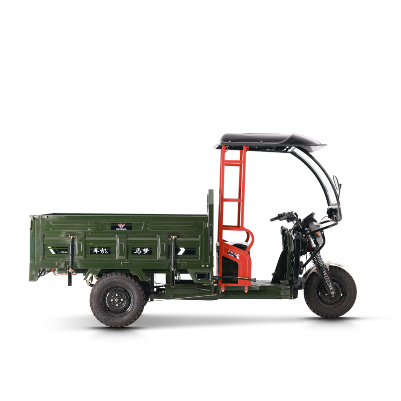 CH-P011 Tricycle for Adults Motorized Adult Electric Tricycle Tricycle Car