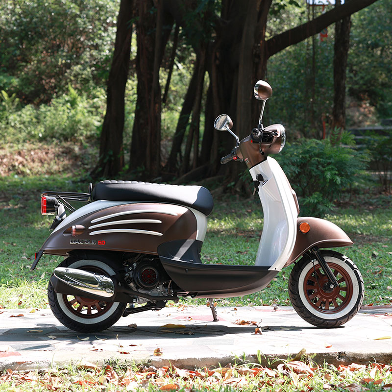 moped electric scooter