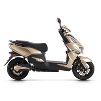 electric mini bike for adults