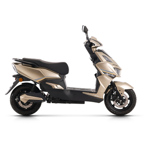 electric mini bike for adults