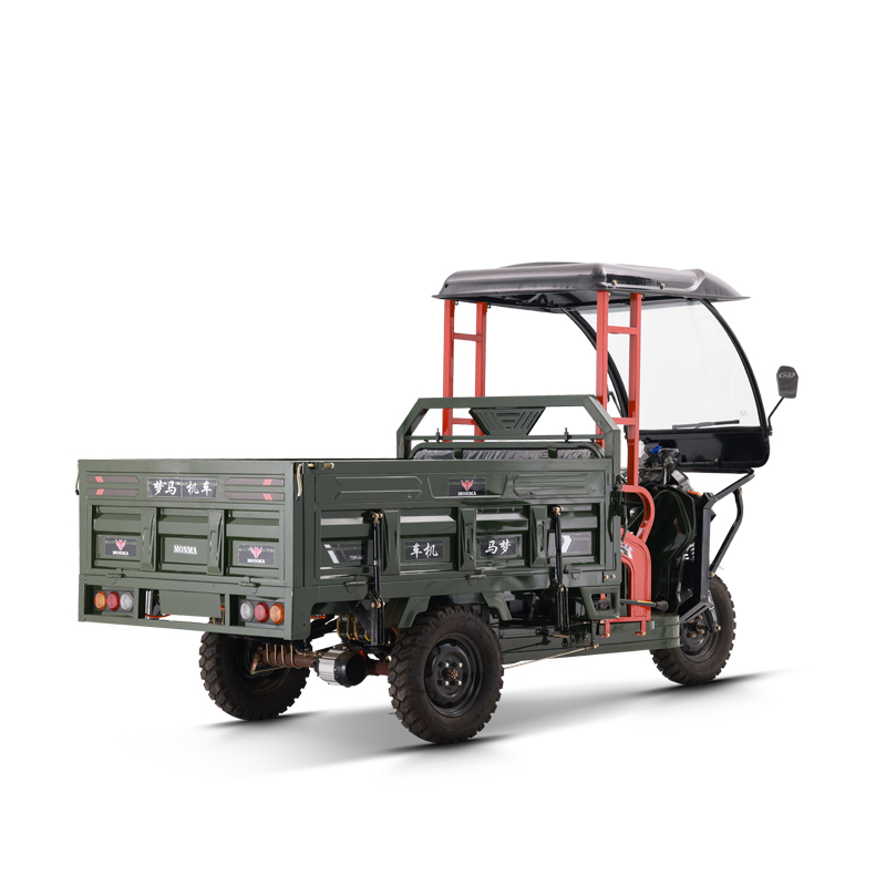 adult electric tricycle