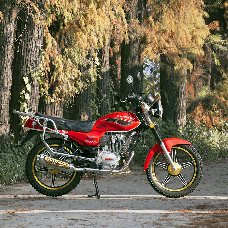 motorcycle with sidecar for sale