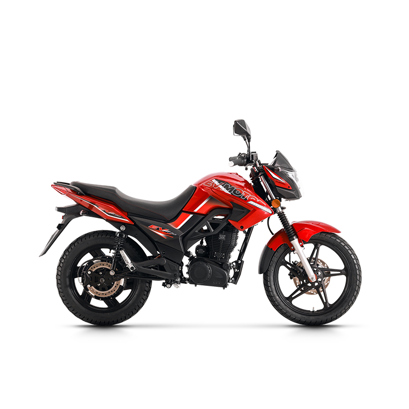 Electric Motorcyle China Cheap High Speed for Adults with Lithium Battery