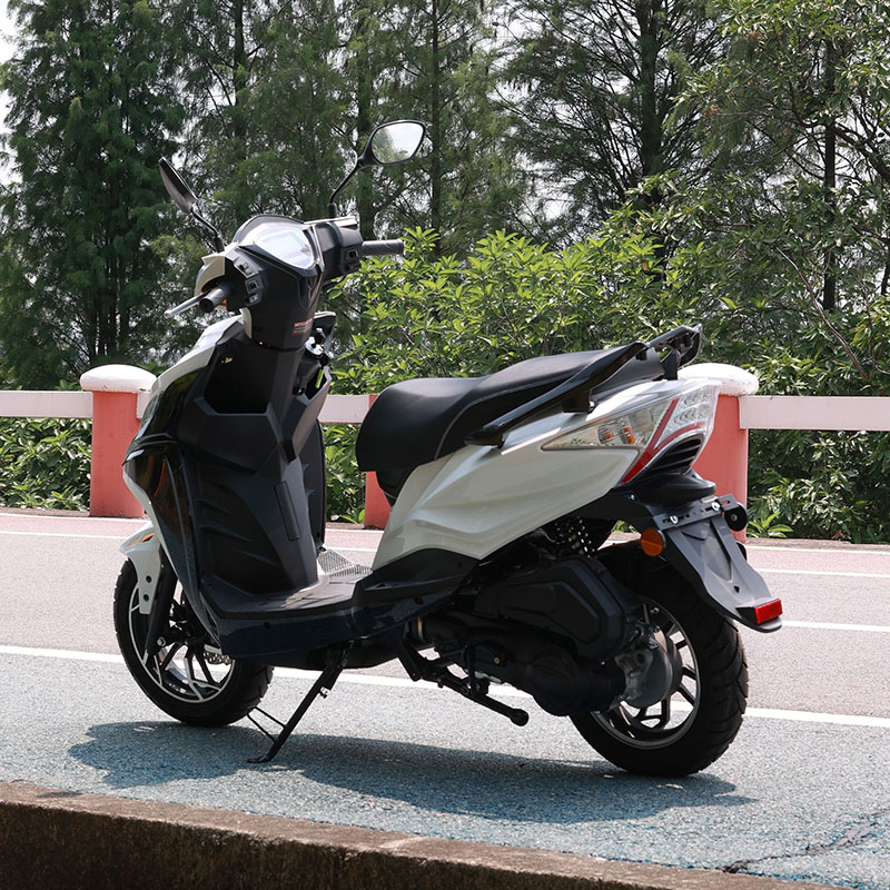 adult electric scooter