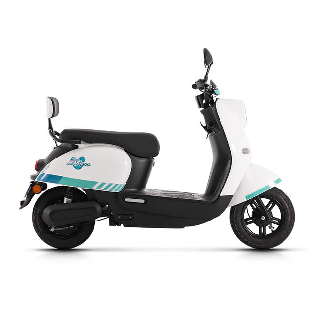 bike electric mountain