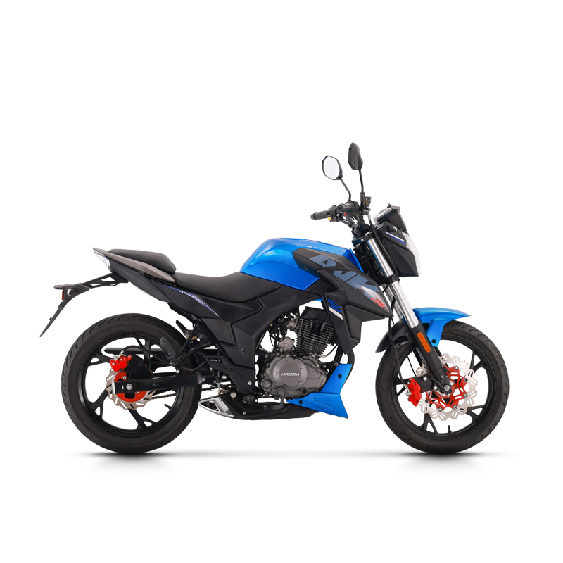 CH169-31E Off Road Motorcycle Two Wheeled Motorcycle Motorcycle Inspection