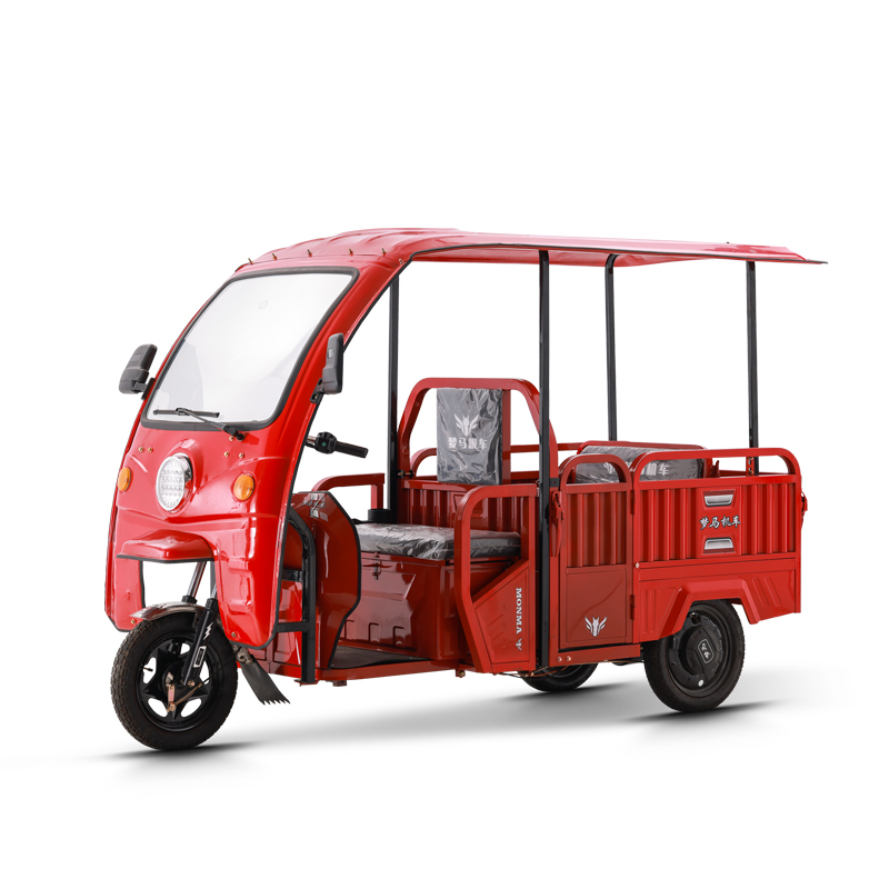 adult tricycle trike