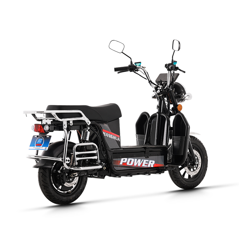 long distance electric bike