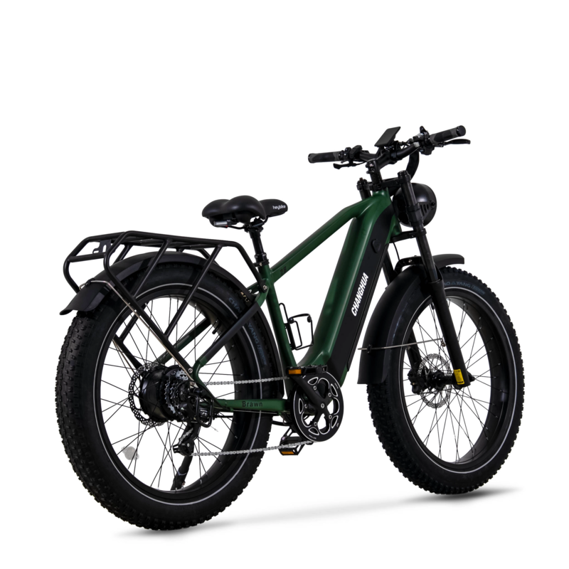 electric bike