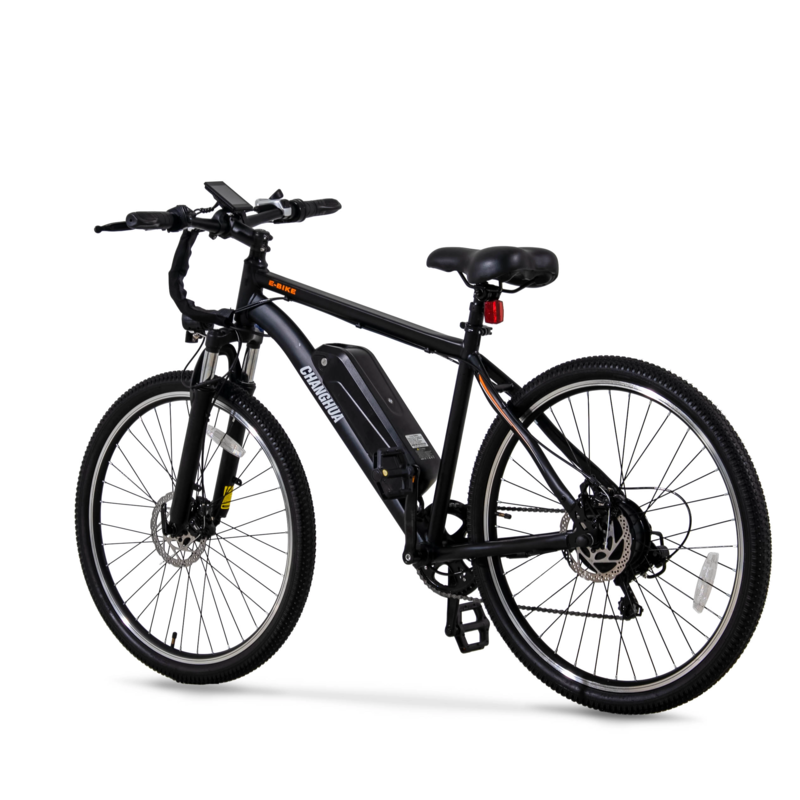 electric bike