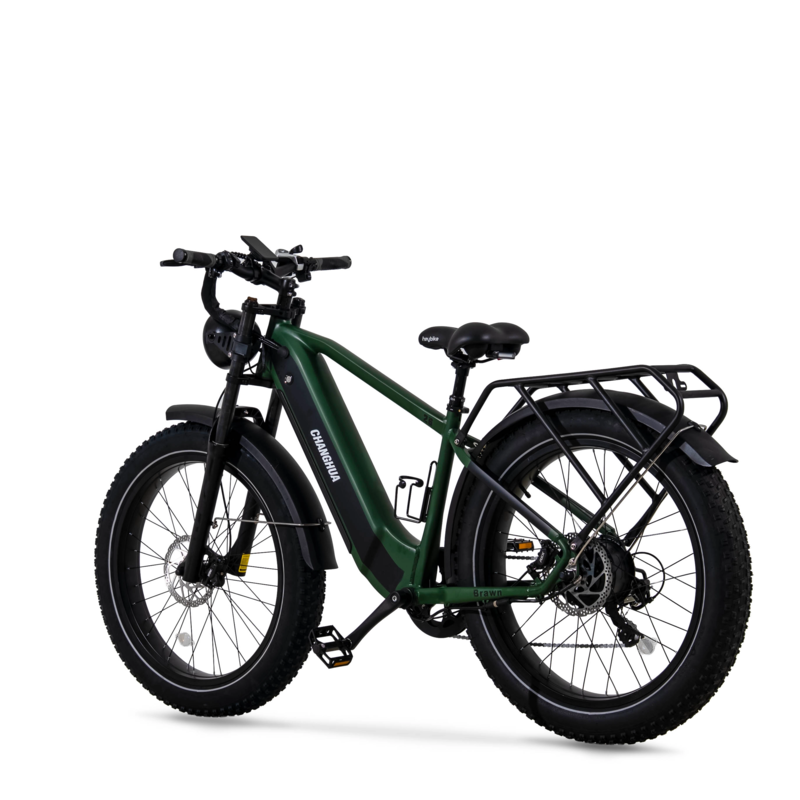 electric bike