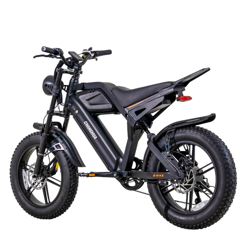 electric bike