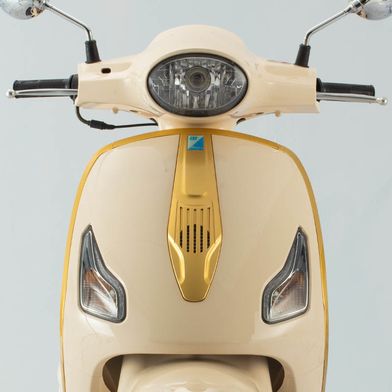 electric mobility scooter