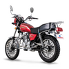 Two Wheeled Motorcycle