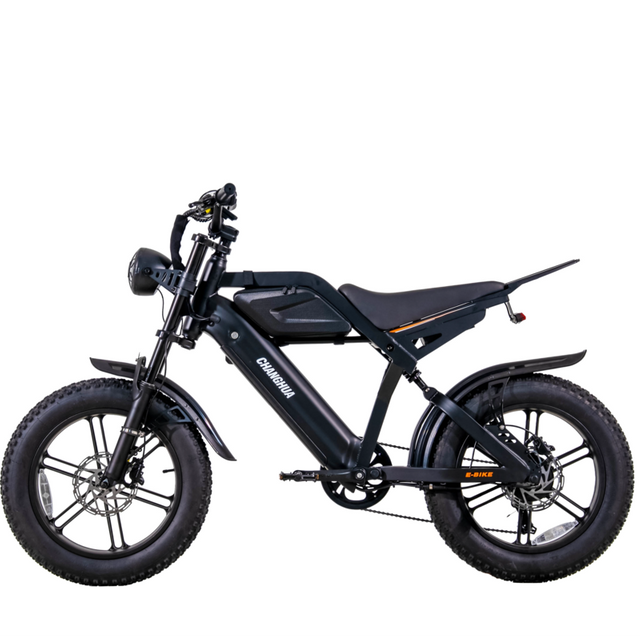electric bike