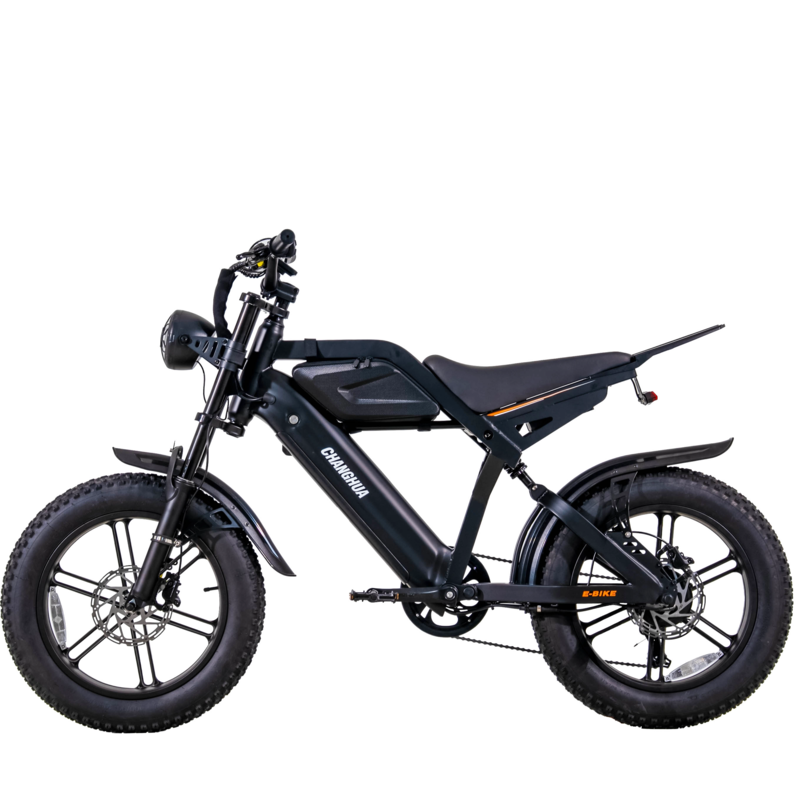 electric bike