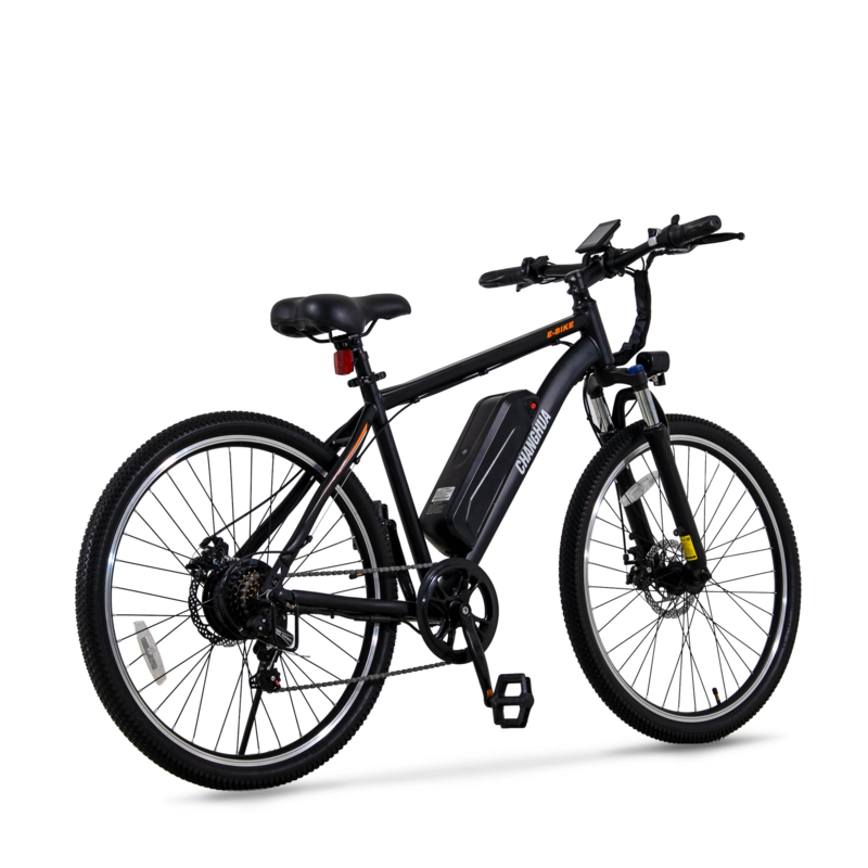 electric bike
