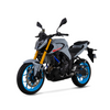 Gasoline motorcycle