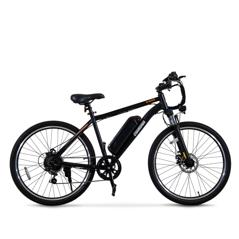 electric bike