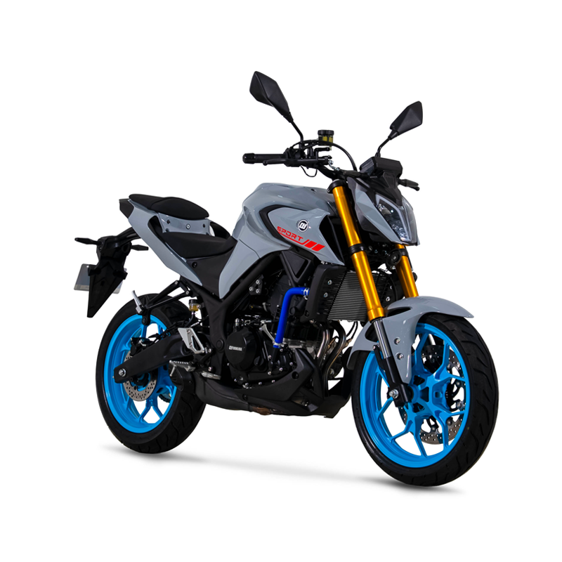 gas motorcycle