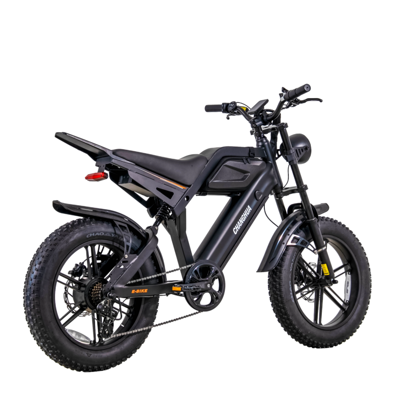 electric bike