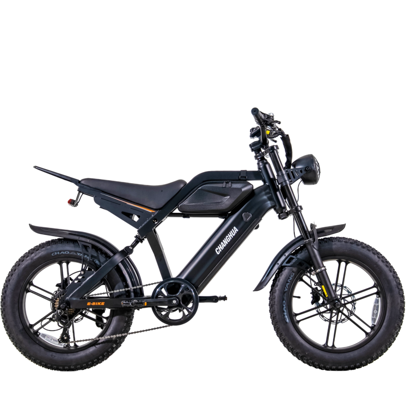 electric bike